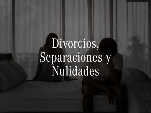 El núcleo del negocio en familia. Alta demanda, ciclo de decisión medio-largo y enorme variabilidad: desde separaciones de mutuo acuerdo hasta divorcios contenciosos con disputa de custodia, régimen de visitas o uso del domicilio familiar.