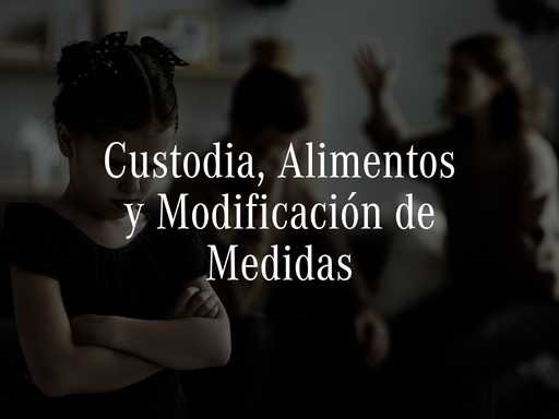 Volumen creciente y alta recurrencia. Incluye custodias en disputa, regímenes de visitas, fijación y revisión de pensiones de alimentos, modificación de medidas cuando cambian las circunstancias.