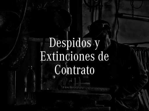 El cliente sabe que tiene plazos y busca con rapidez. Los despachos que captan bien en este bloque tienen presencia inmediata en búsquedas de alta intención y un sistema de respuesta que no deja enfriar la consulta.
